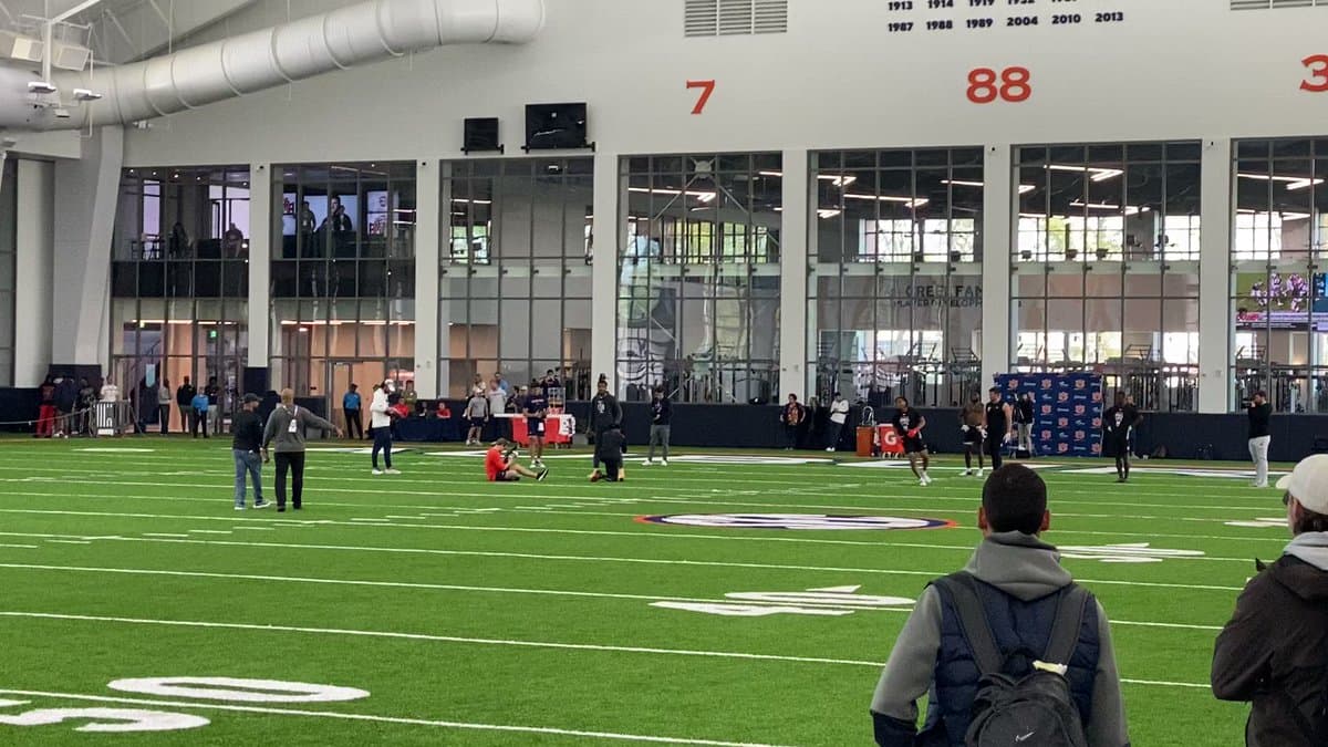 You Won't Believe This Cam Newton Pass Actually Connected