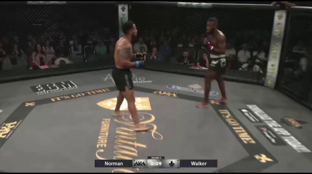 Fighter Copies Max Holloway's Signature Move And Instantly Regrets It