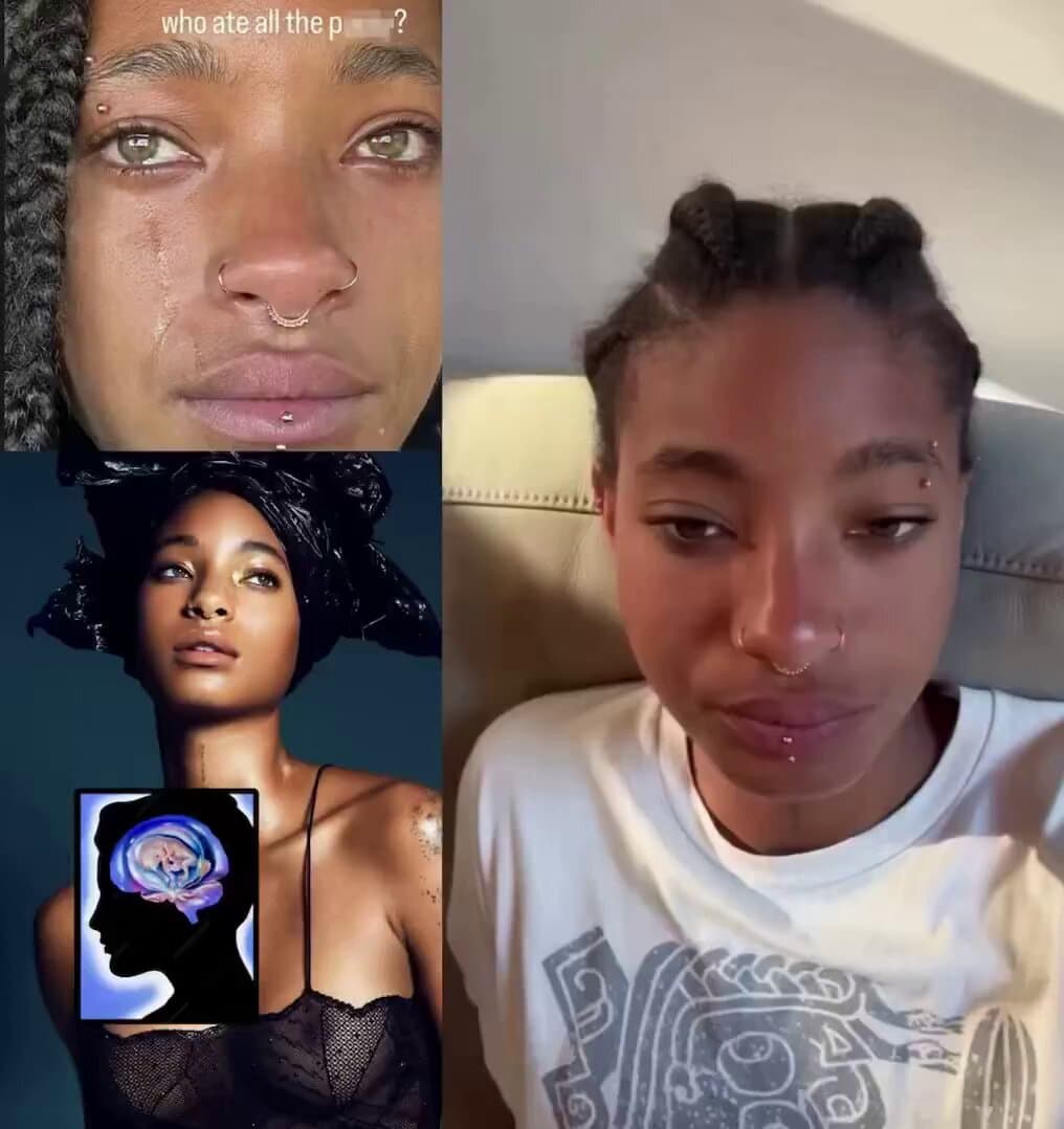 Willow Smith Compares Her Anxiety To The Pain Of Childbirth