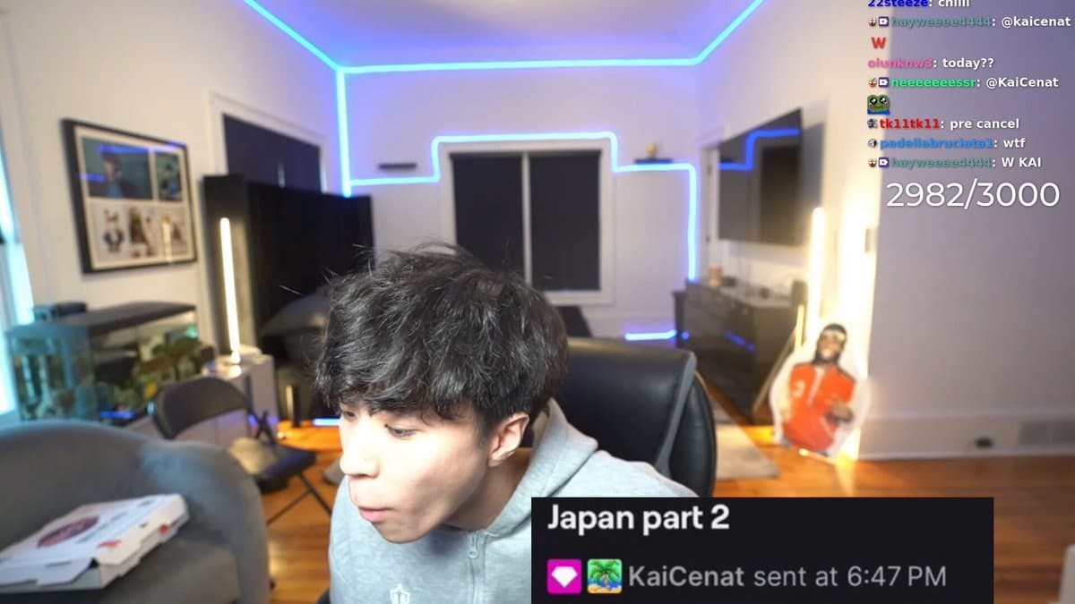 Streamer's Surprise Visit Sparks Chaotic Online Frenzy