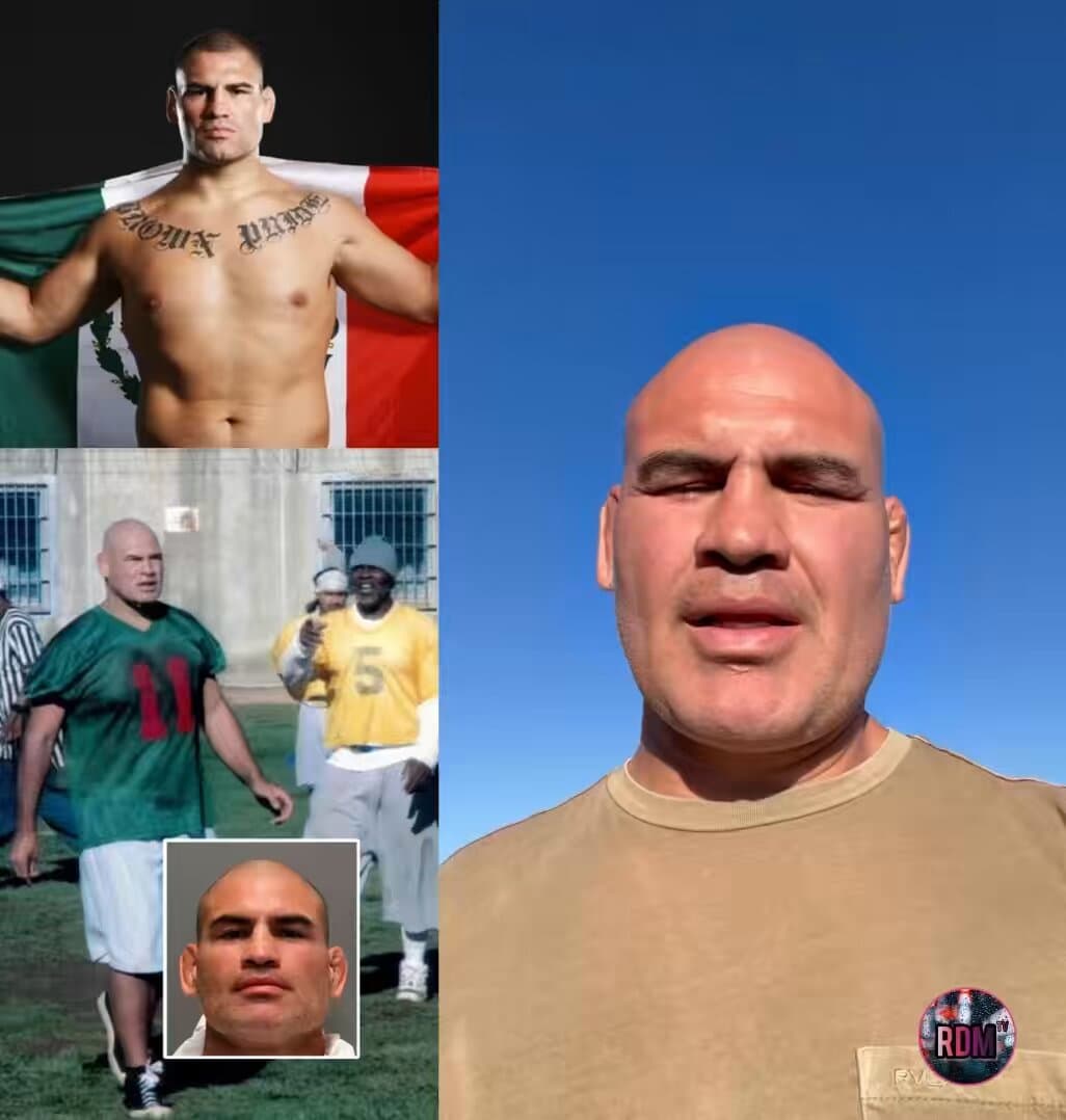 Former UFC Star's Shocking Prison Release Stuns The Sports World