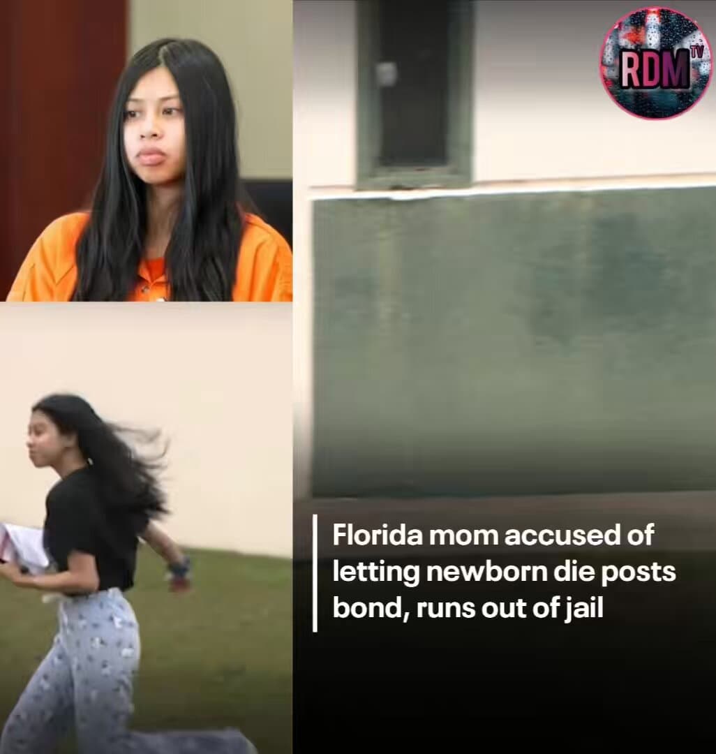 YouTuber's Shocking Arrest Revealed After Her Mysterious Disappearance