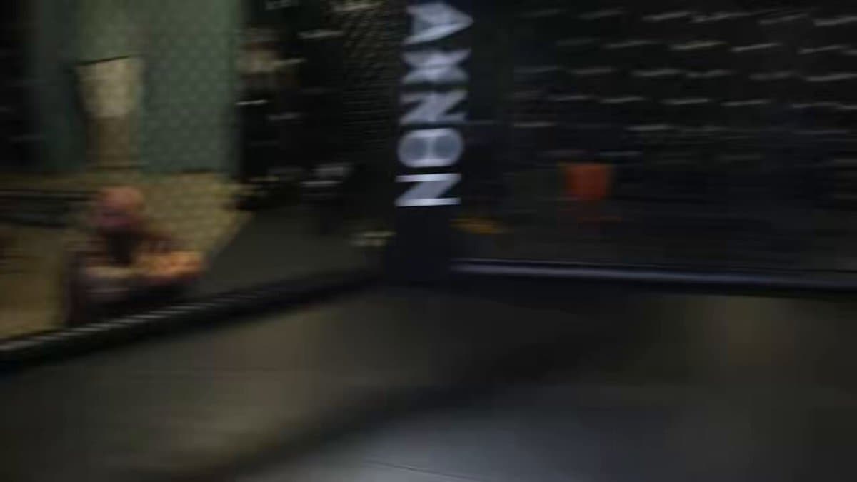 UFC Legend Reveals The One Move Adesanya Refused To Use