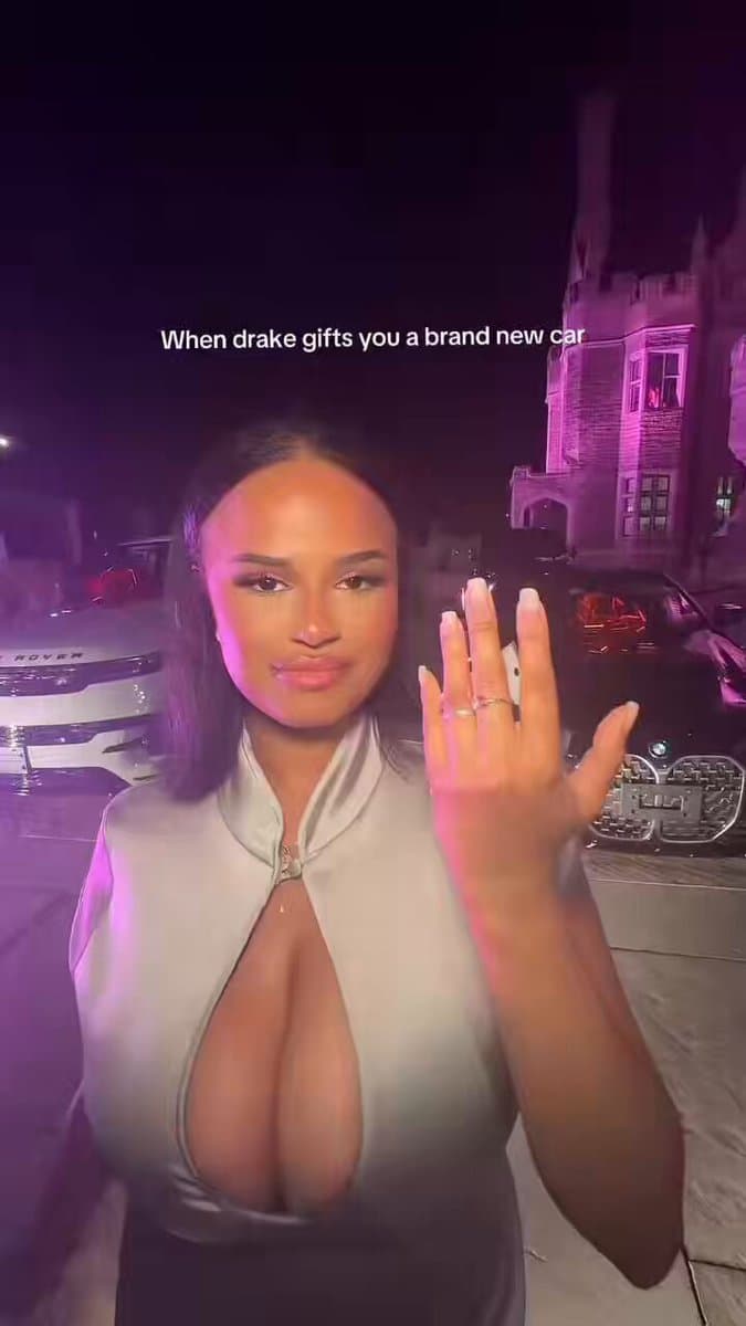 Drake Secretly Hosts Boozy Dinner Party for Women Only, Details Leak