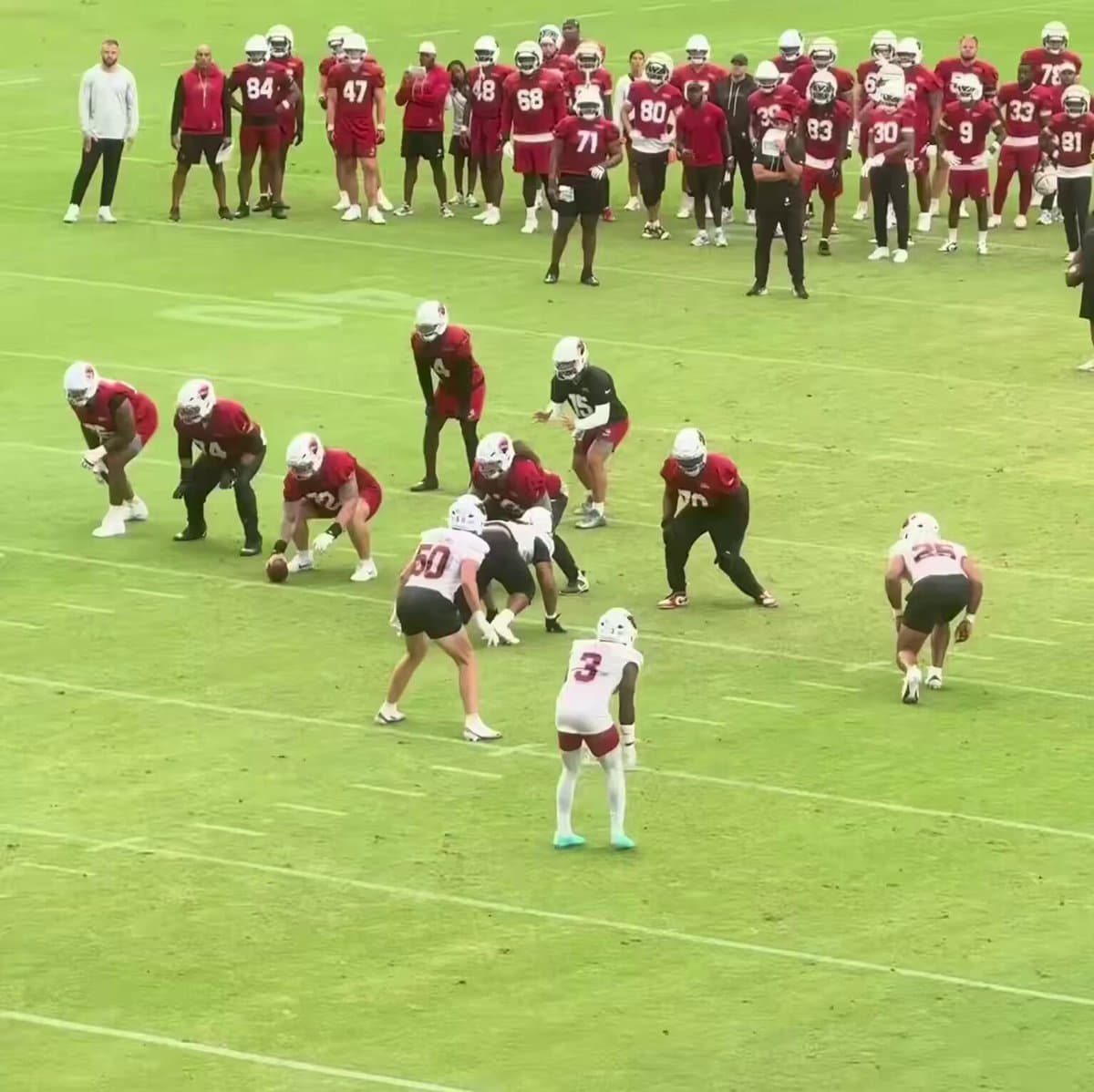 Cardinals’ Winless Season Nightmare Becomes Stark NFL Reality