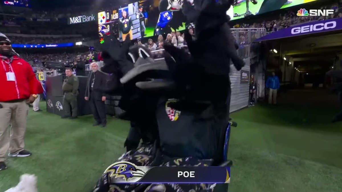 Baltimore Ravens Mascot's Medical Miracle Stuns NFL World