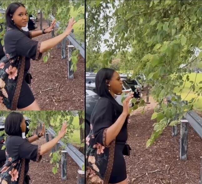 Woman Claims Trees Can Hear Us In Viral Nature Revelation