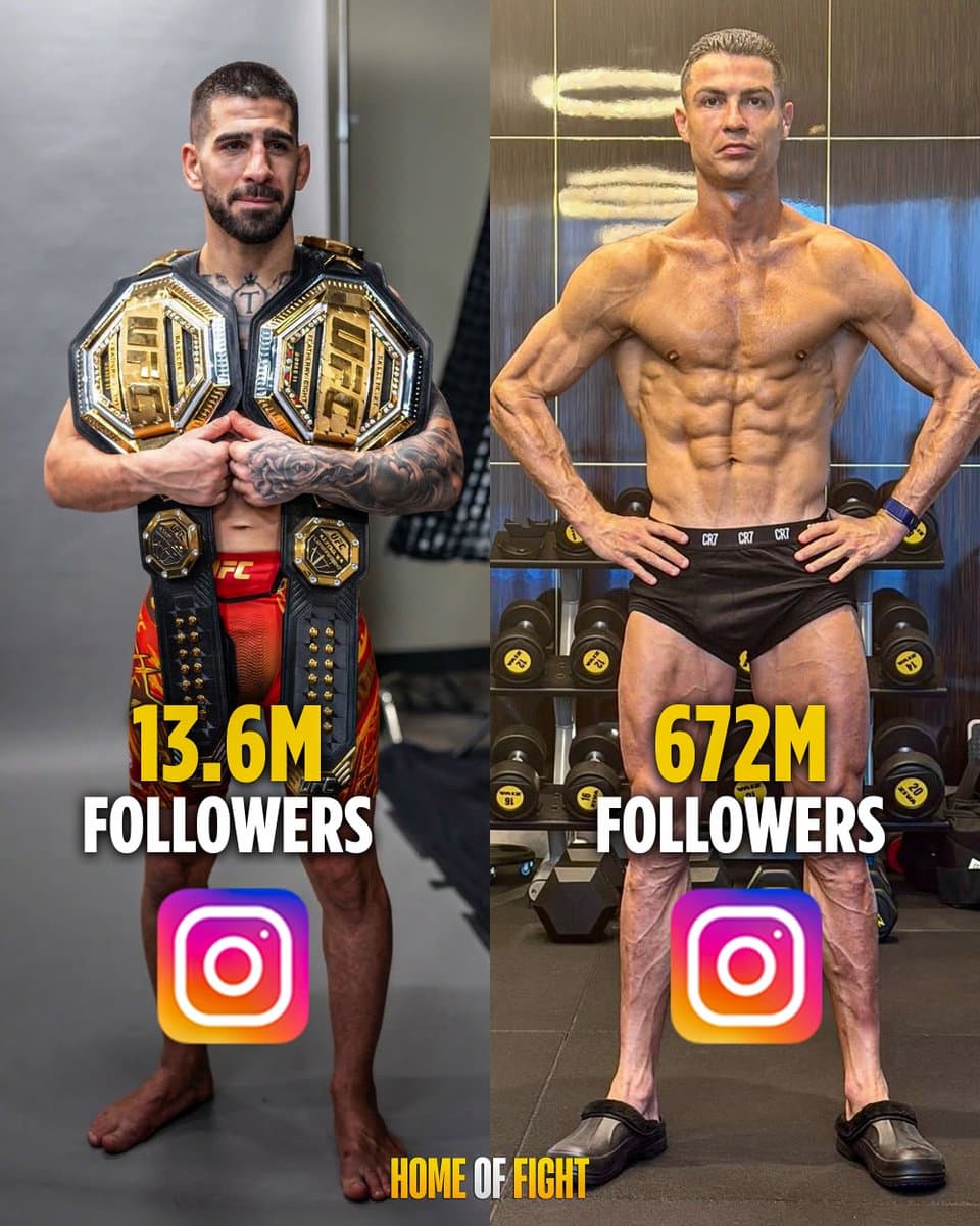 The Shocking Truth About How MMA Stars Dominate The Media