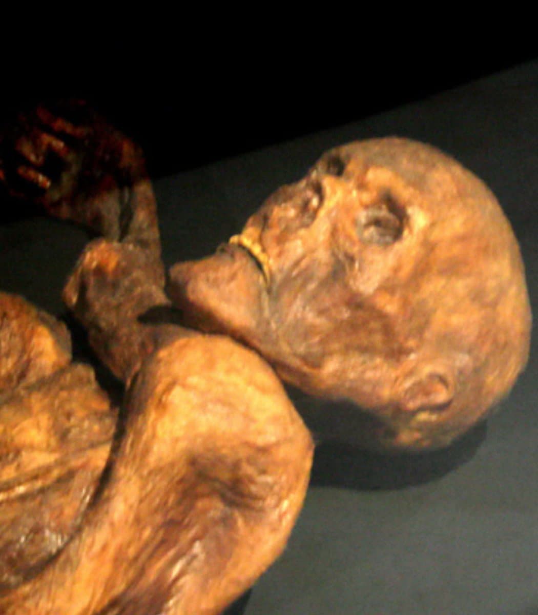 Scientists Create Ancient Yeast Bread From 5,300-Year-Old Mummy