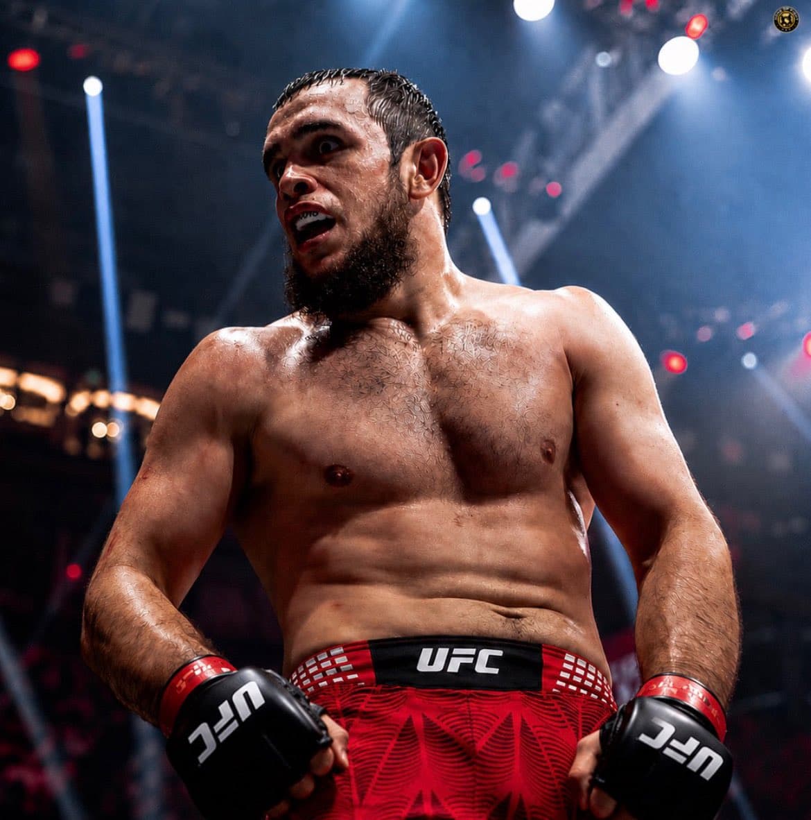 UFC Manager Reveals When Unbeaten Dagestani Phenom Finally Fights