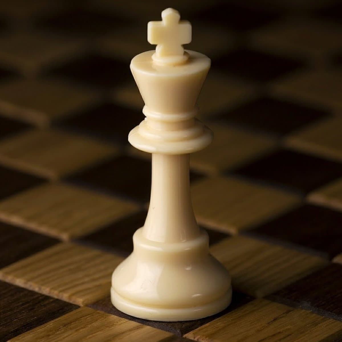UK All-Women Chess Team Forced To Draft Male Player Amid Crisis